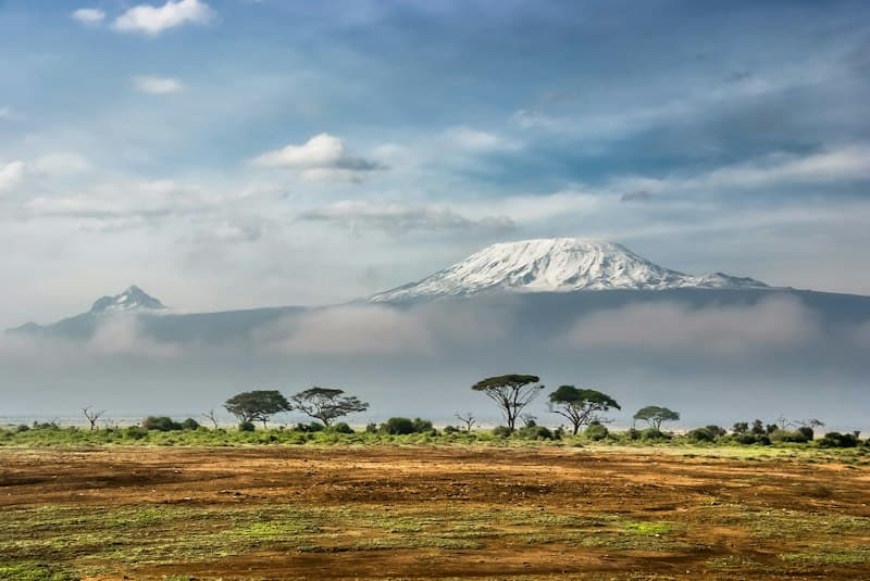 Snow-capped Mount Kilimanjaro above the savannah